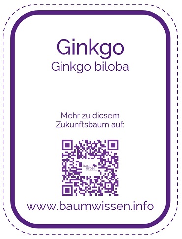 2024 03 18 Schild mit QR Code Zukunftsbaum Verweis auf www.baumwissen.info 370