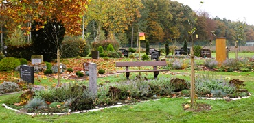 IMG 1541 TH bearbeitet mit 370