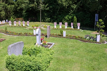 IMG 0028 Gesamtansicht 370