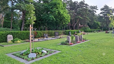 20260610 074312 Gesamtanlage Rasen grün 370