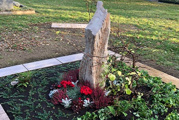 370 Dahlenwarsleben 2