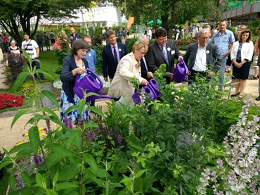 IMG 20180610 WA0004 370