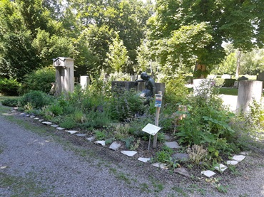 bild 23.06.2022 15 04 15 370